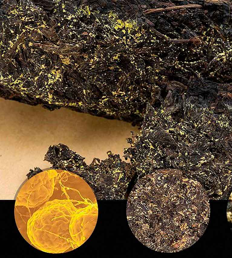 Немного о Цзинь Хуа